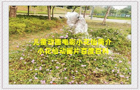 儿童动画电影小花仙简介 小花仙动画片百度百科